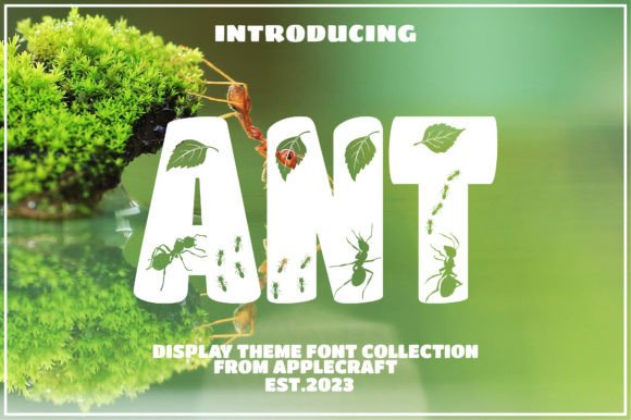 Ant Typeface: A Playful Decorative Font for Editorial Design