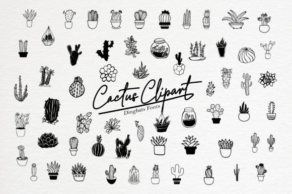 Cactus Clipart Font for Branding