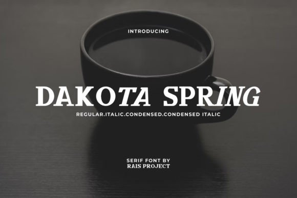 Dakota Spring: A Versatile Serif Font for Modern Web Design