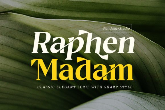 Designing Bold Brands with the Raphen Madam Typeface