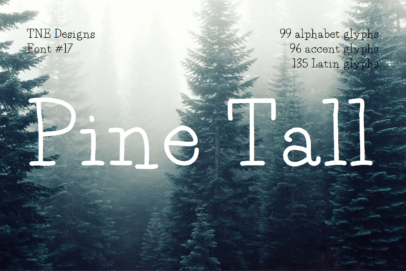 Pine Tall Font Review: A Unique Serif for Web Design