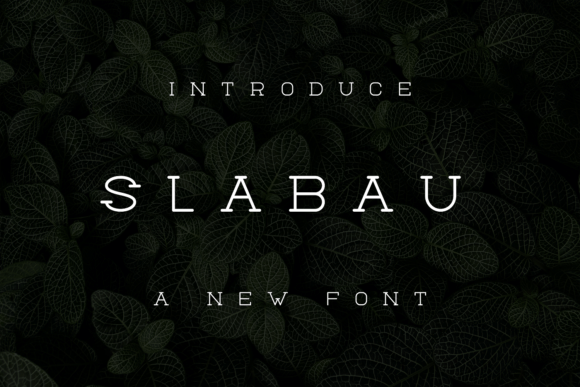 Slabau: The Serif Font That Elevates Your Brand