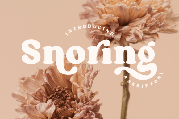 Snoring: A Handwritten Serif Typeface for Web Design